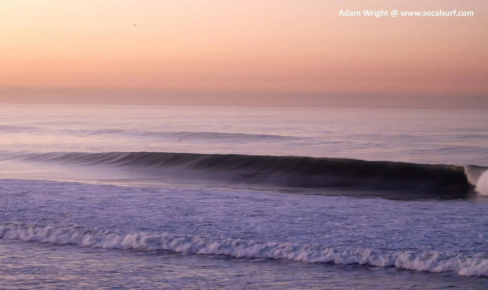 The dawn (SUP) Patrol | Loco Surfing