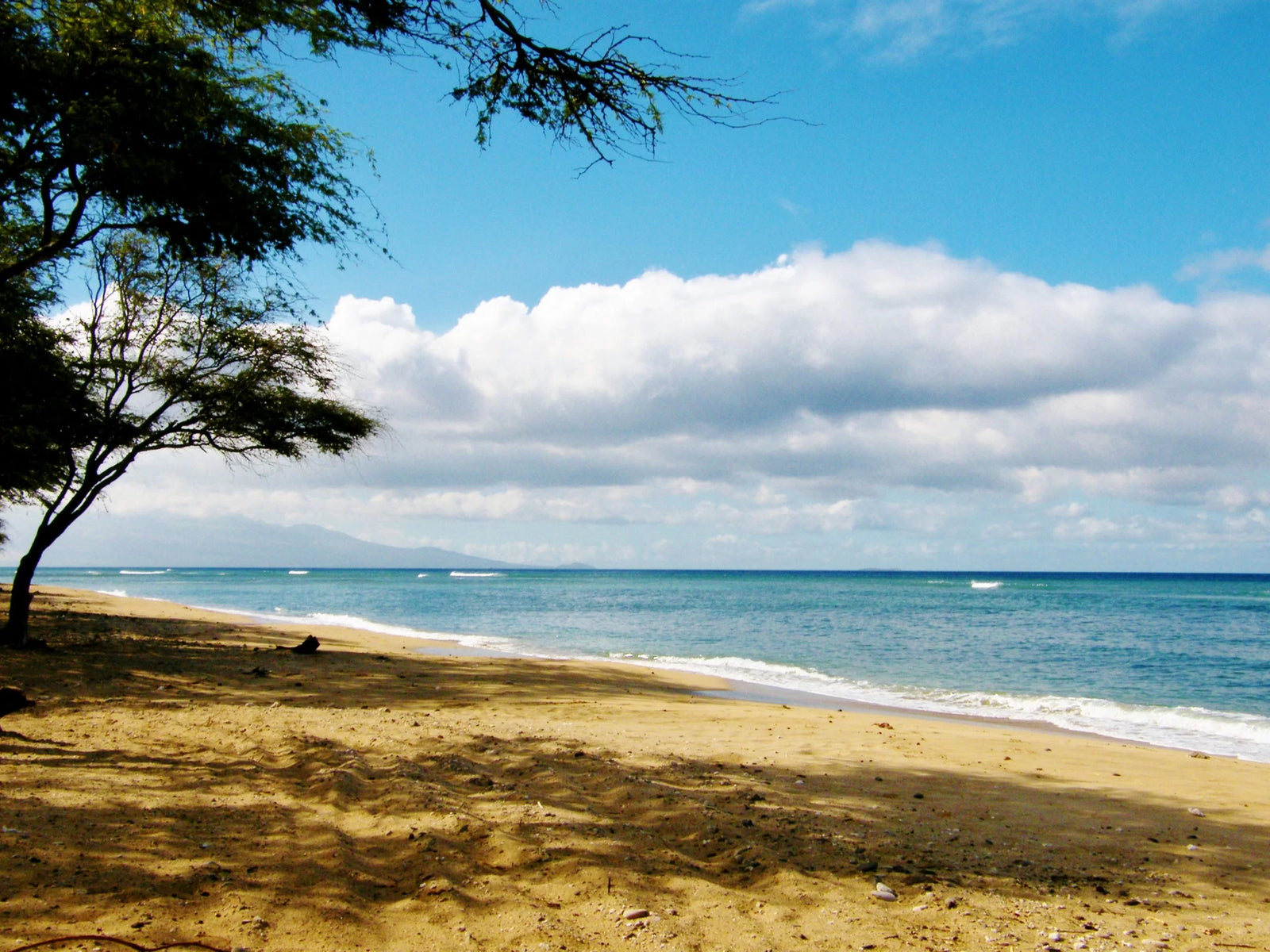 Grenada beach photo
