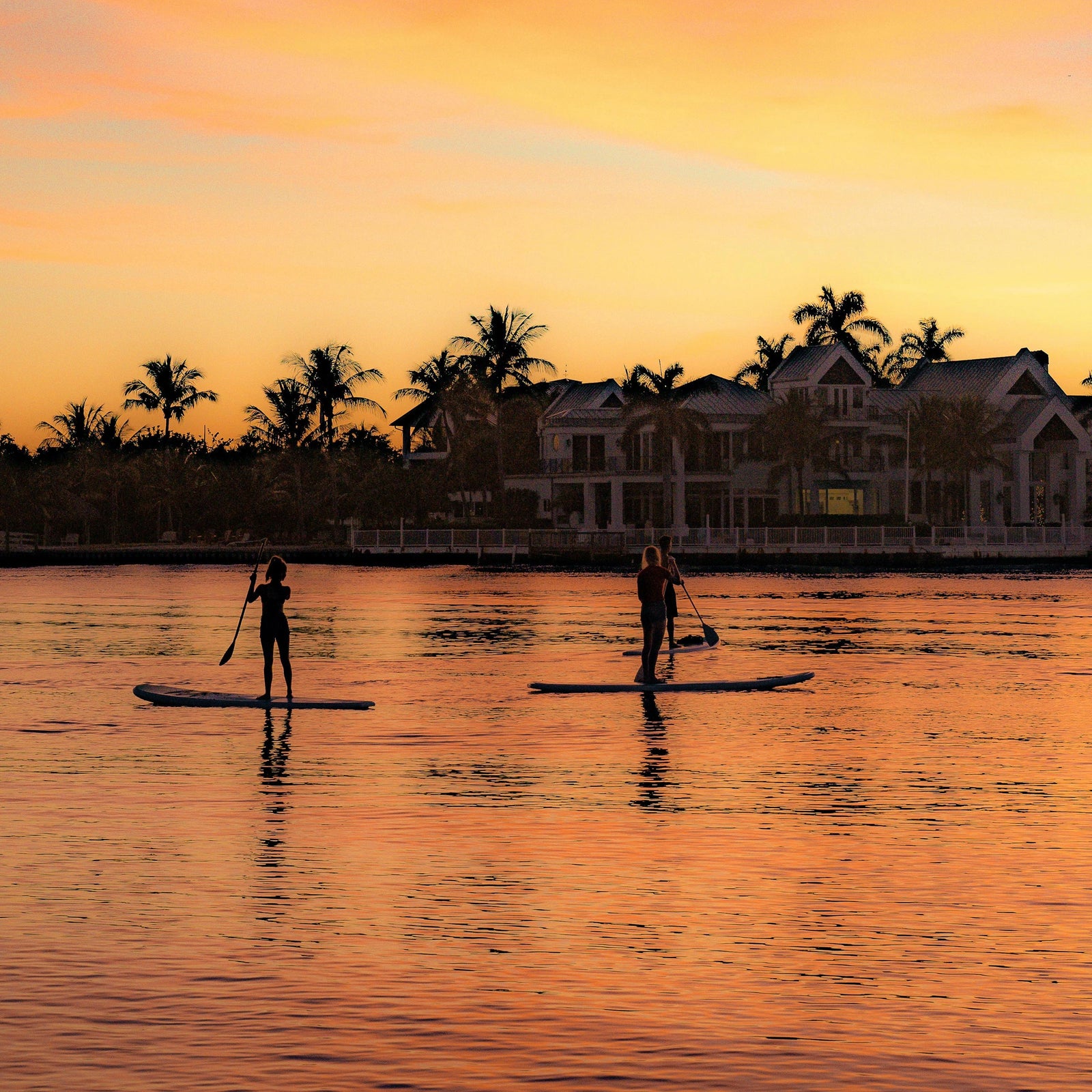 Paddle Boarding At Night 