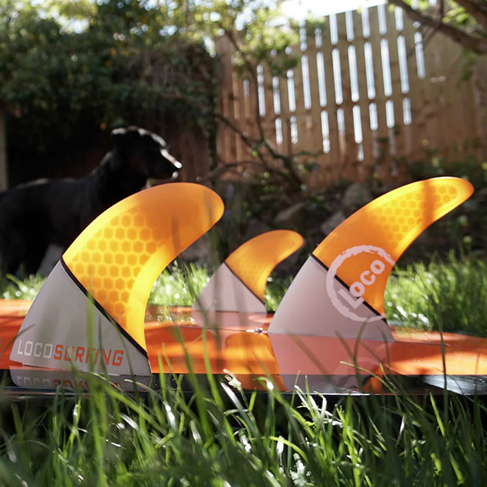 Unlock the Secrets of paddle boarding Fins with Loco
