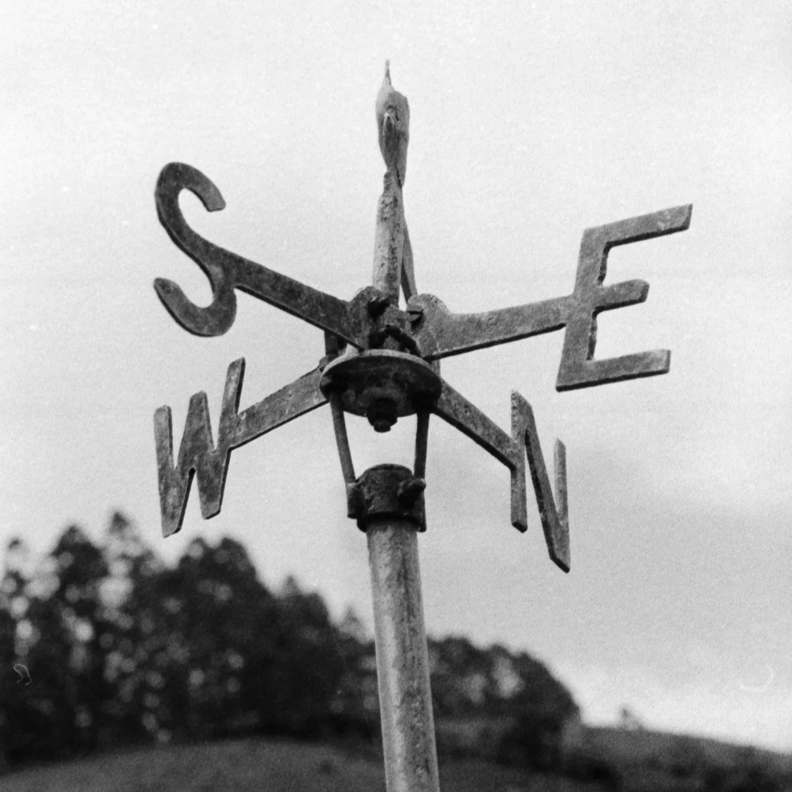 SUP Safety: Your Comprehensive Guide to Weather Conditions Before You Paddle